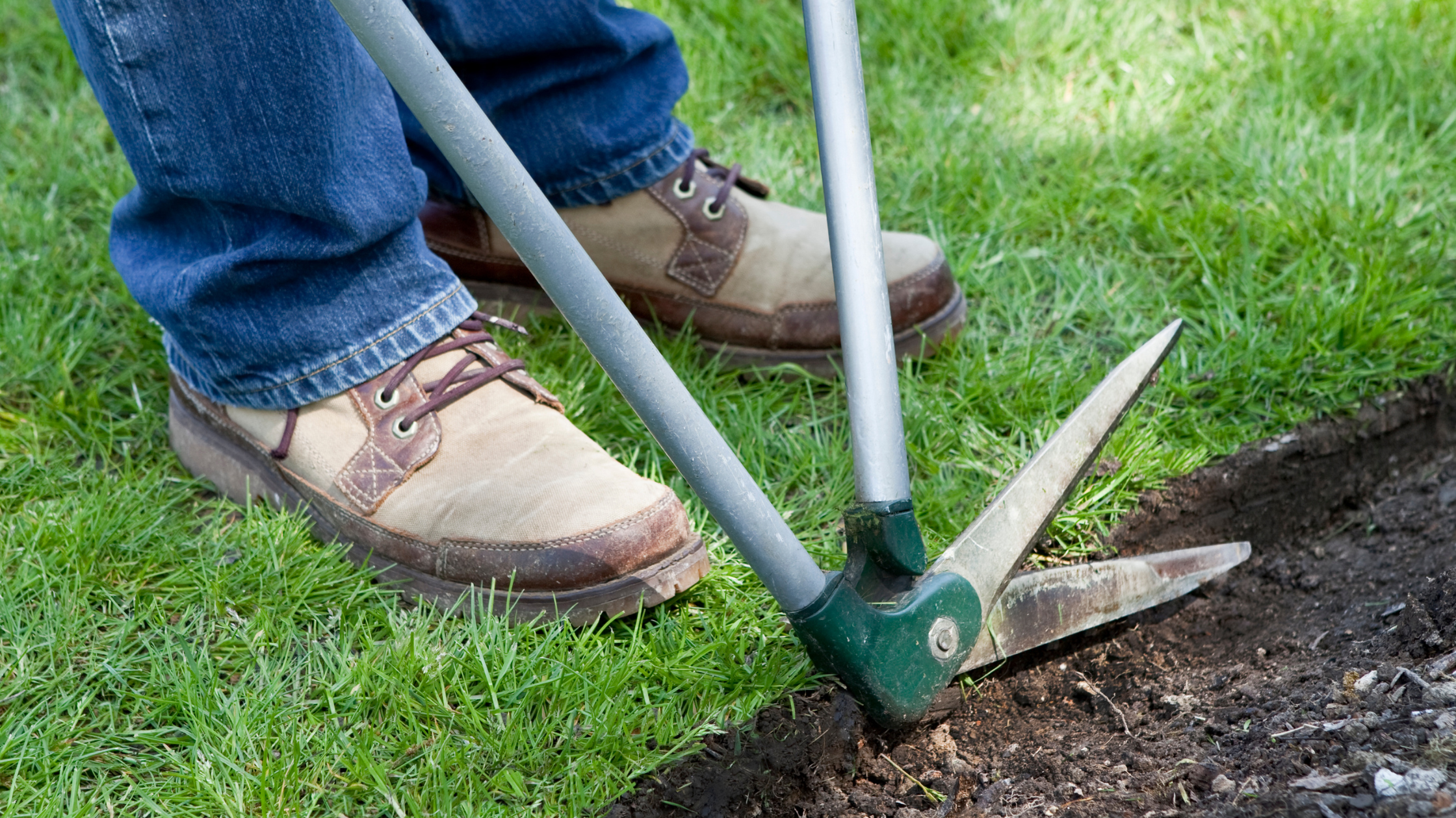 Lawn Edging Techniques: Creating a Polished Landscape